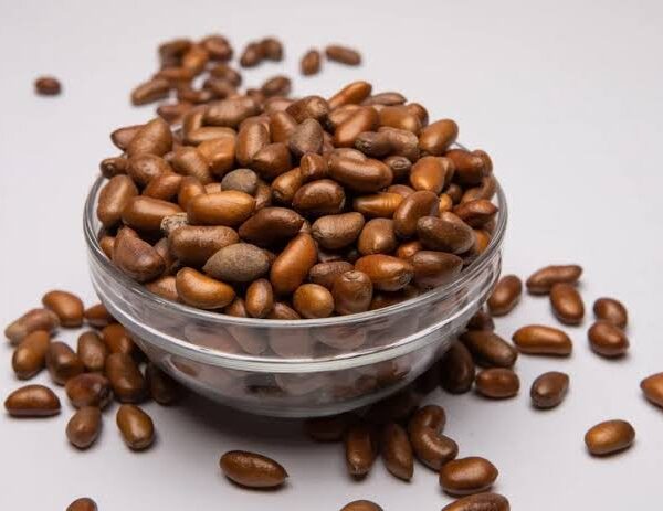 African Nutmeg (Ehuru Seed)-2